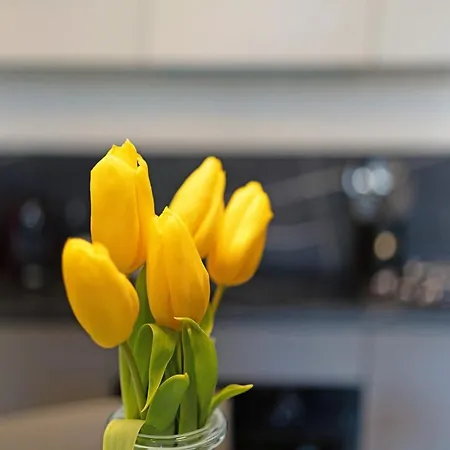 Maison Del Sasso Maggiore